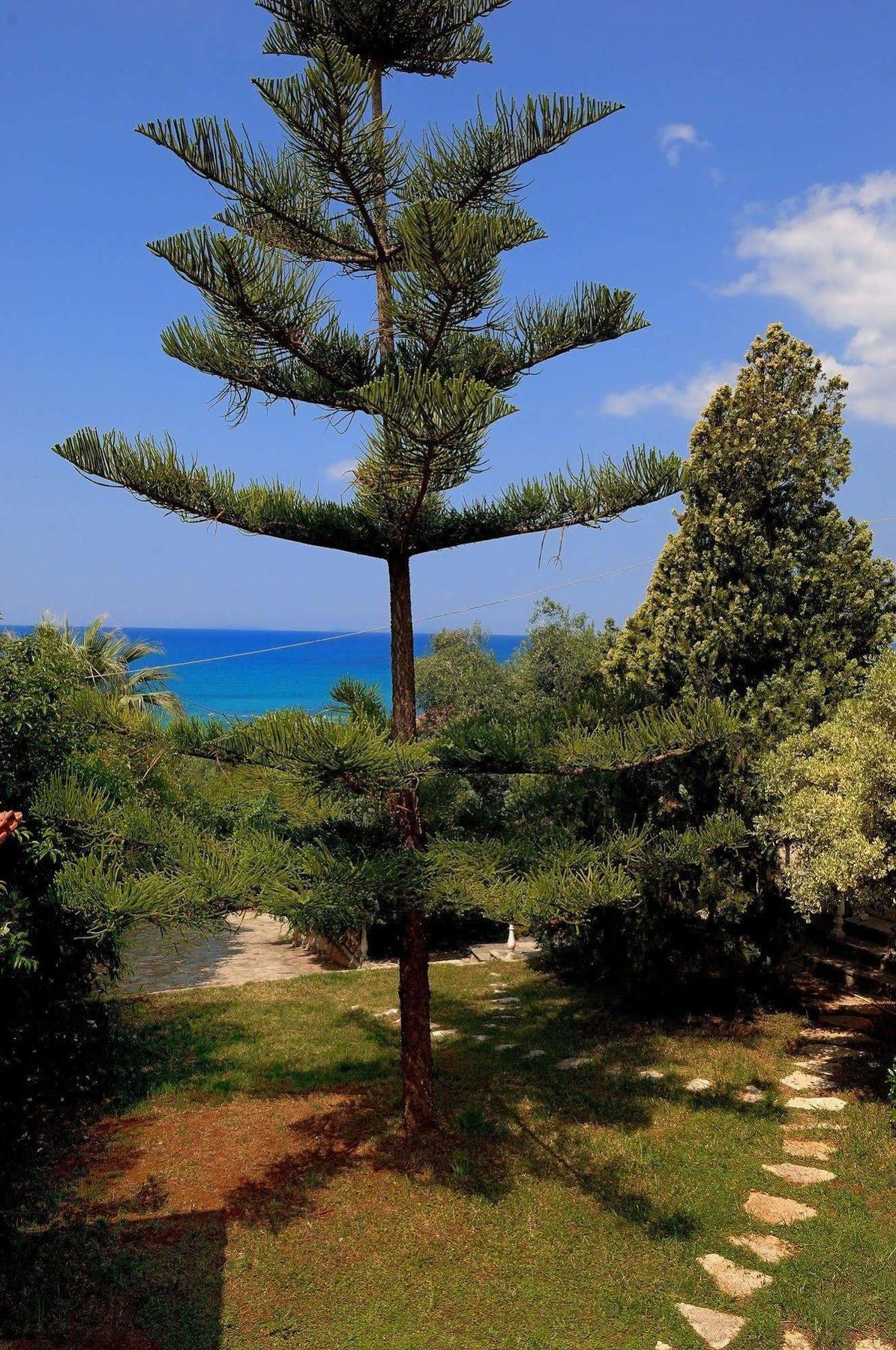 Villa Vanda Lygia  Luaran gambar